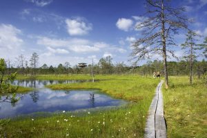 Nationalpark Gauja, der grösste Lettlands