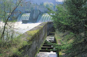 Freie Bahn für Flusstiere: Fischtreppe beim Kraftwerk Wildegg-Brugg.