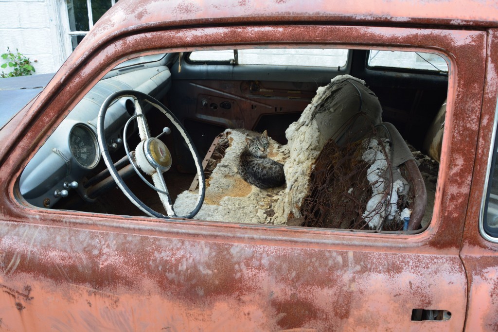 Die Hamptons Foto: © Dörte Welti